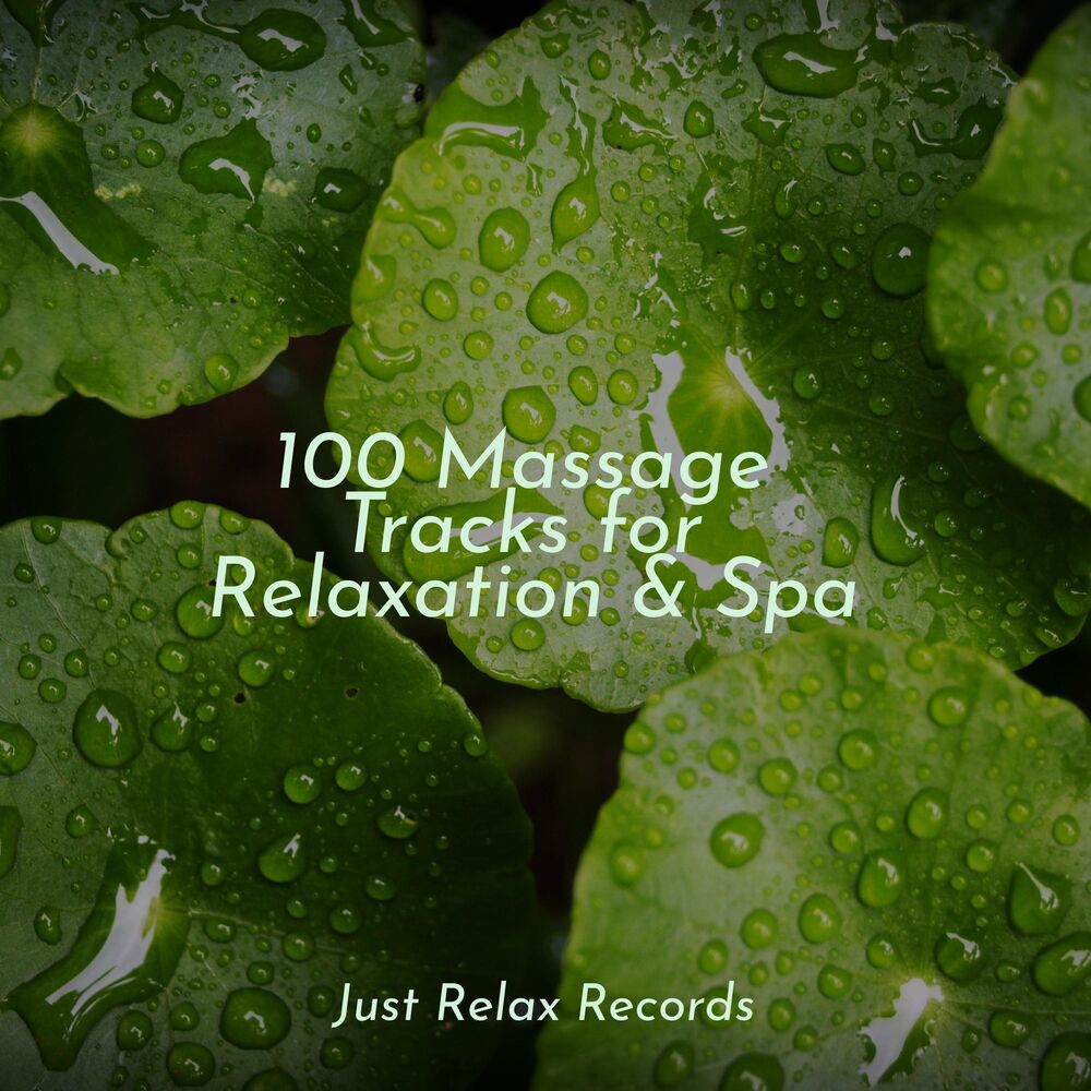 Picture of 100 Massage Tracks for Relaxation & Spa