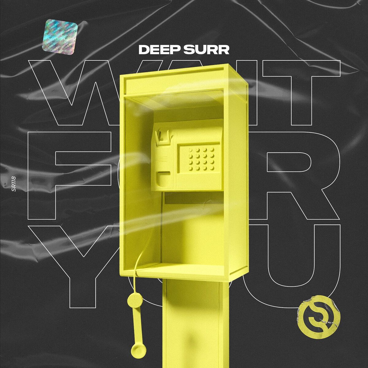 Album cover of Wait for You