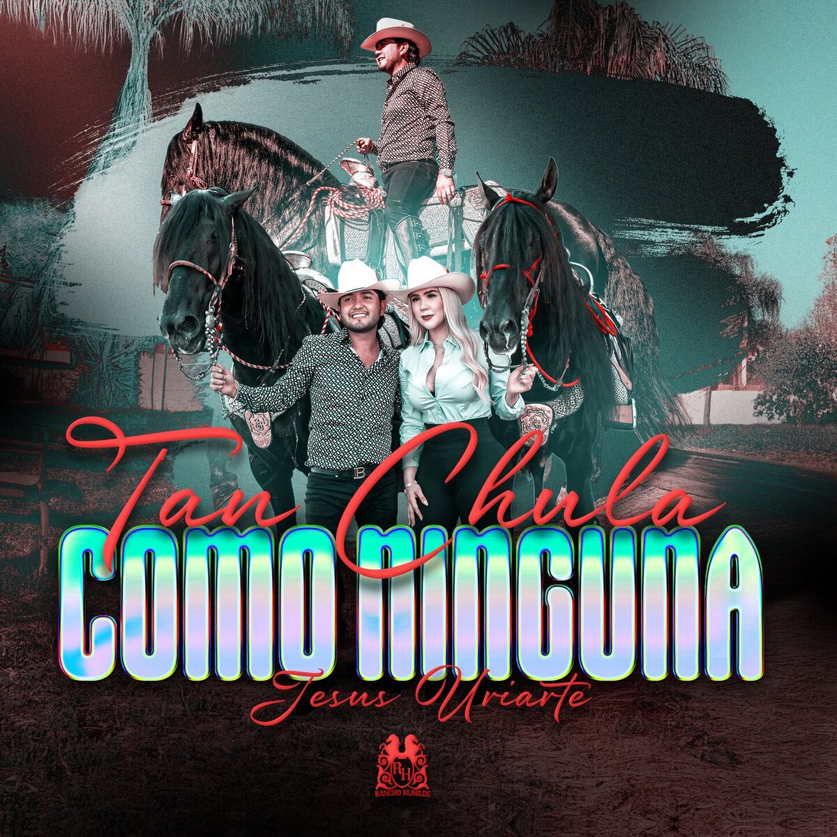 Album cover of Tan Chula Como Ninguna