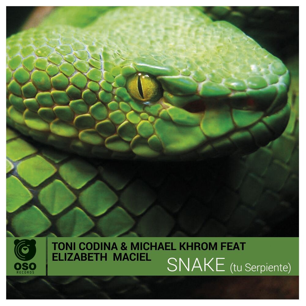 Picture of Snake (Tu Serpiente)