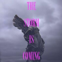 Cover of The Storm Is Coming