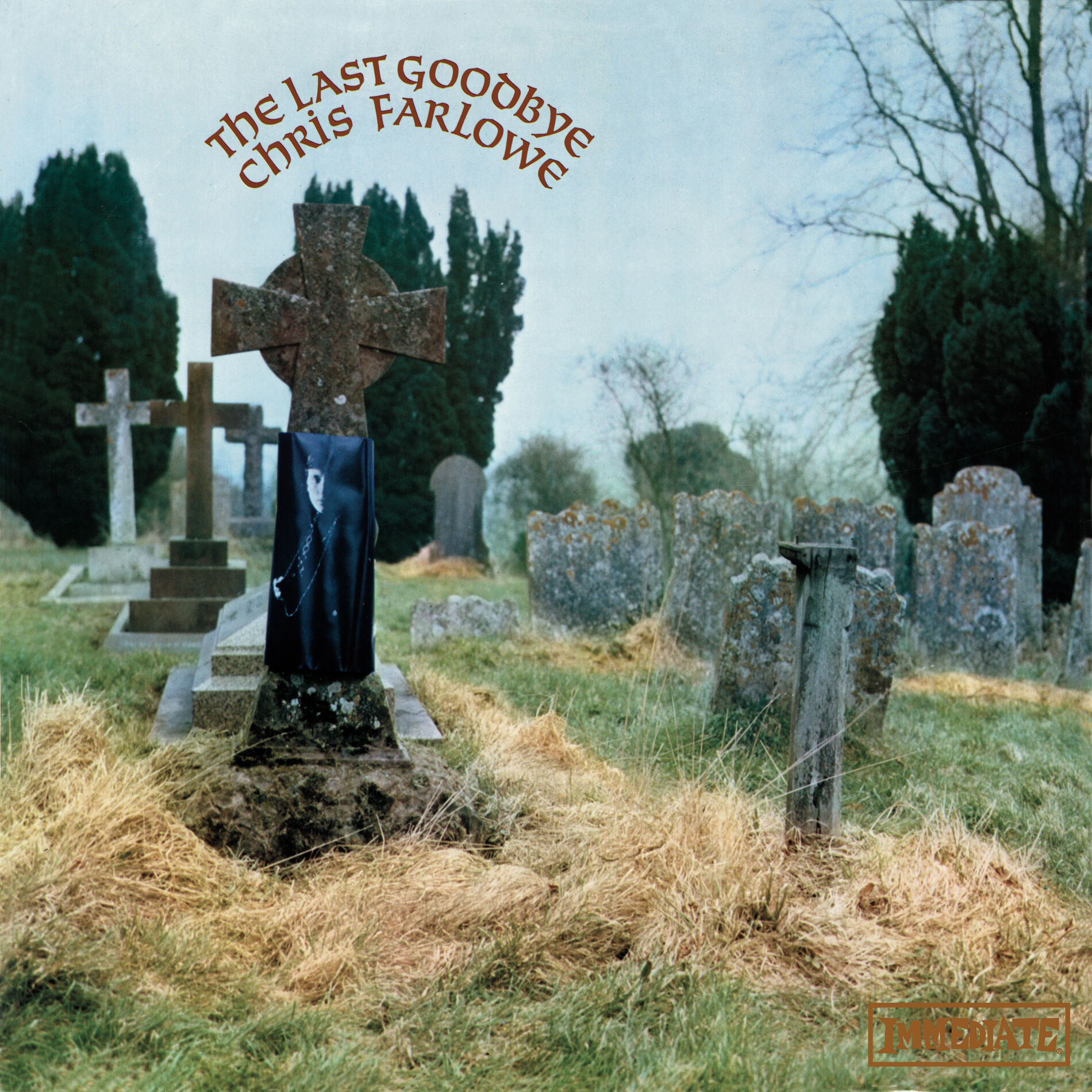 Album cover of The Last Goodbye