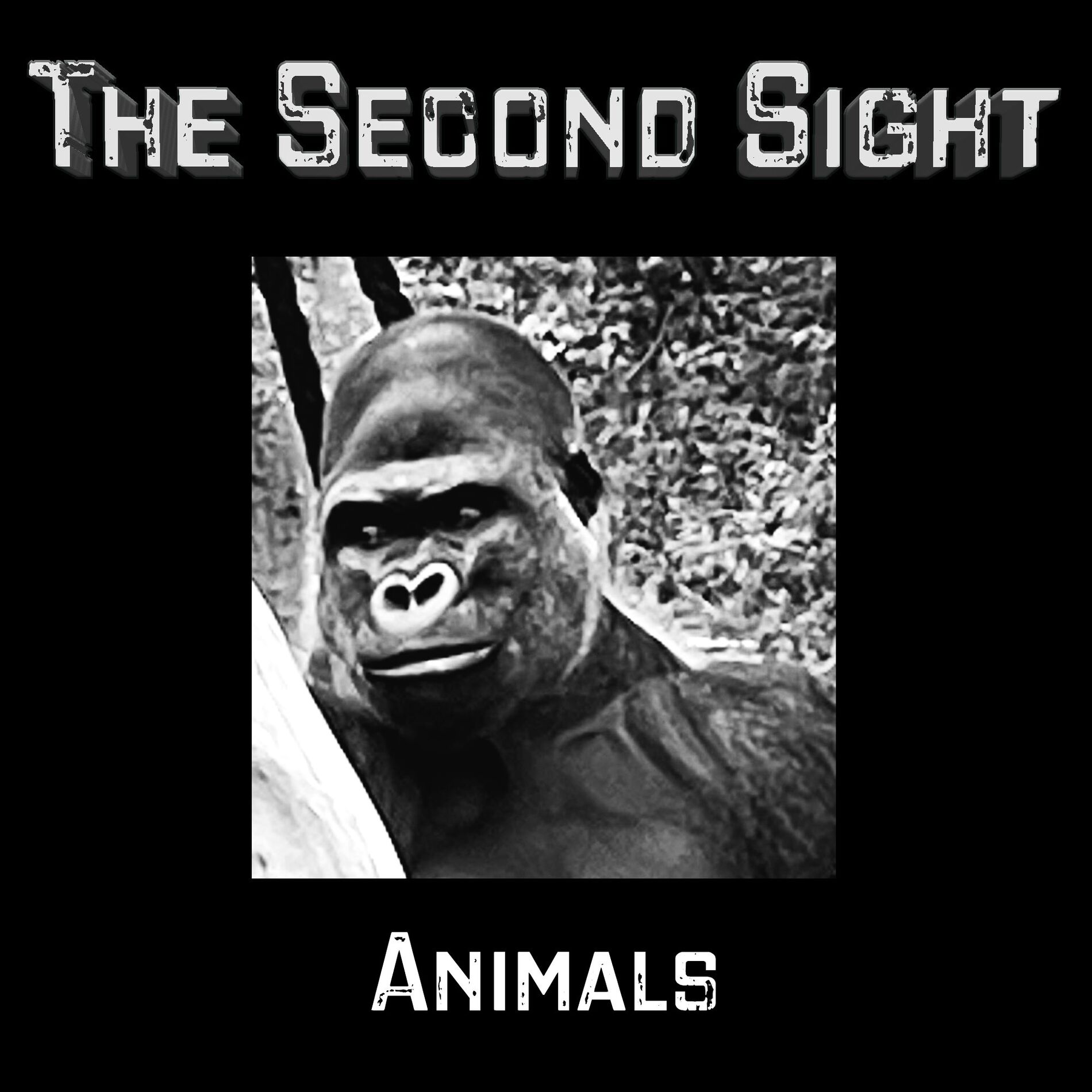 Album cover of Animals (2022)