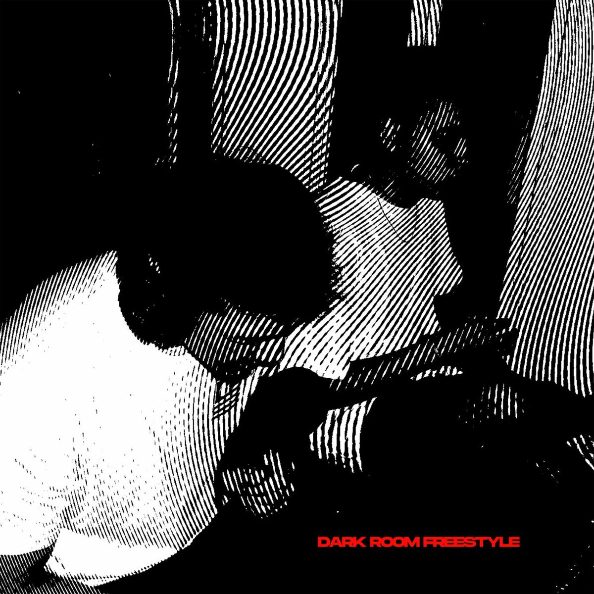 Album cover of DARK ROOM FREESTYLE