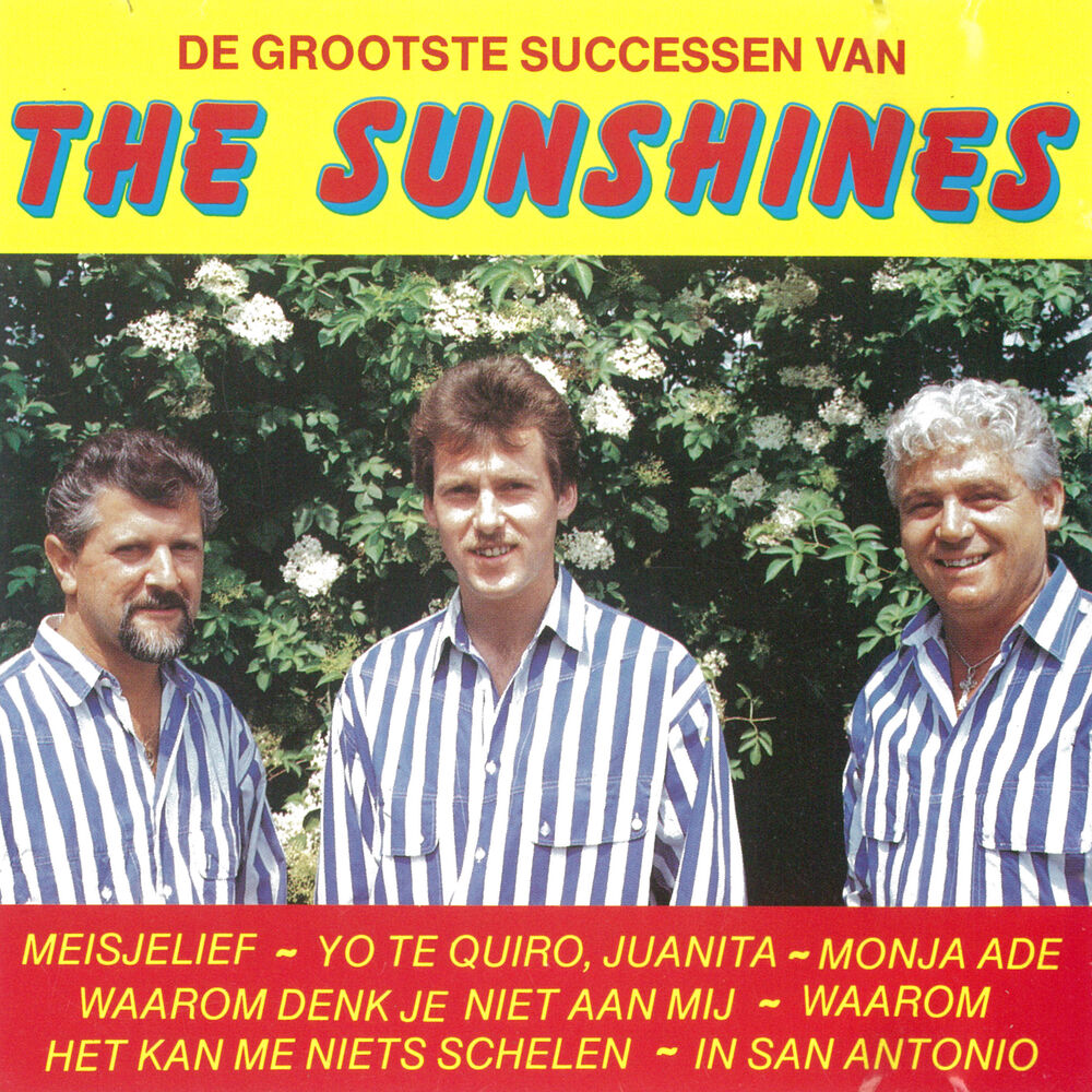 Picture of De grootste successen van The Sunshines