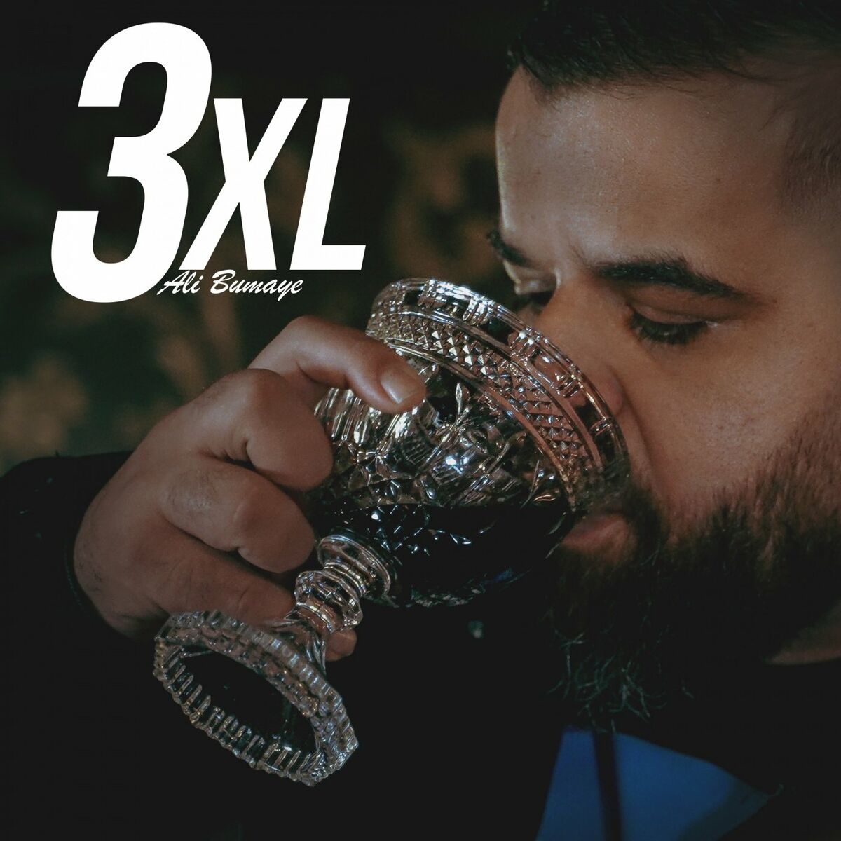 Album cover of 3XL