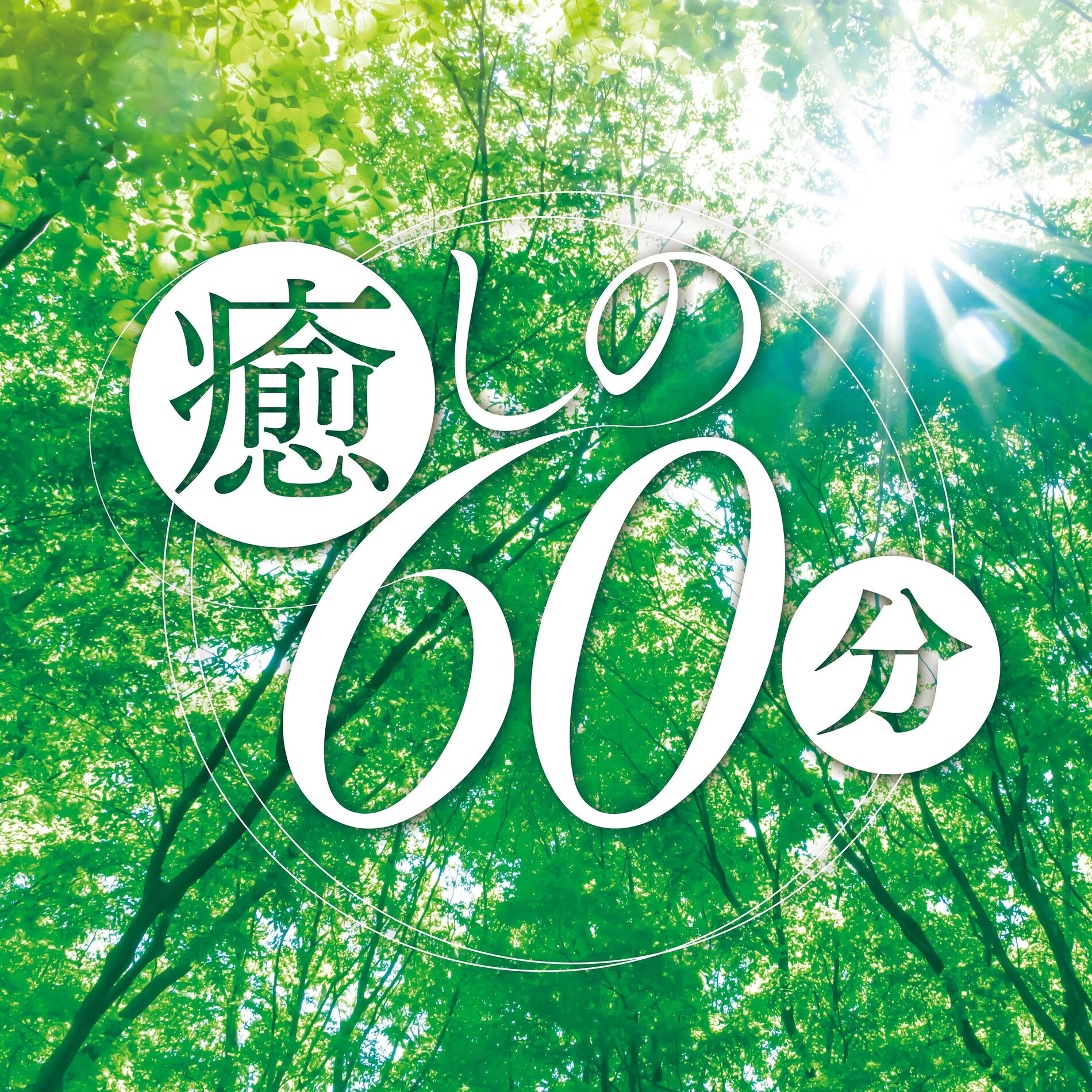 Album cover of 60 Minutes Healing