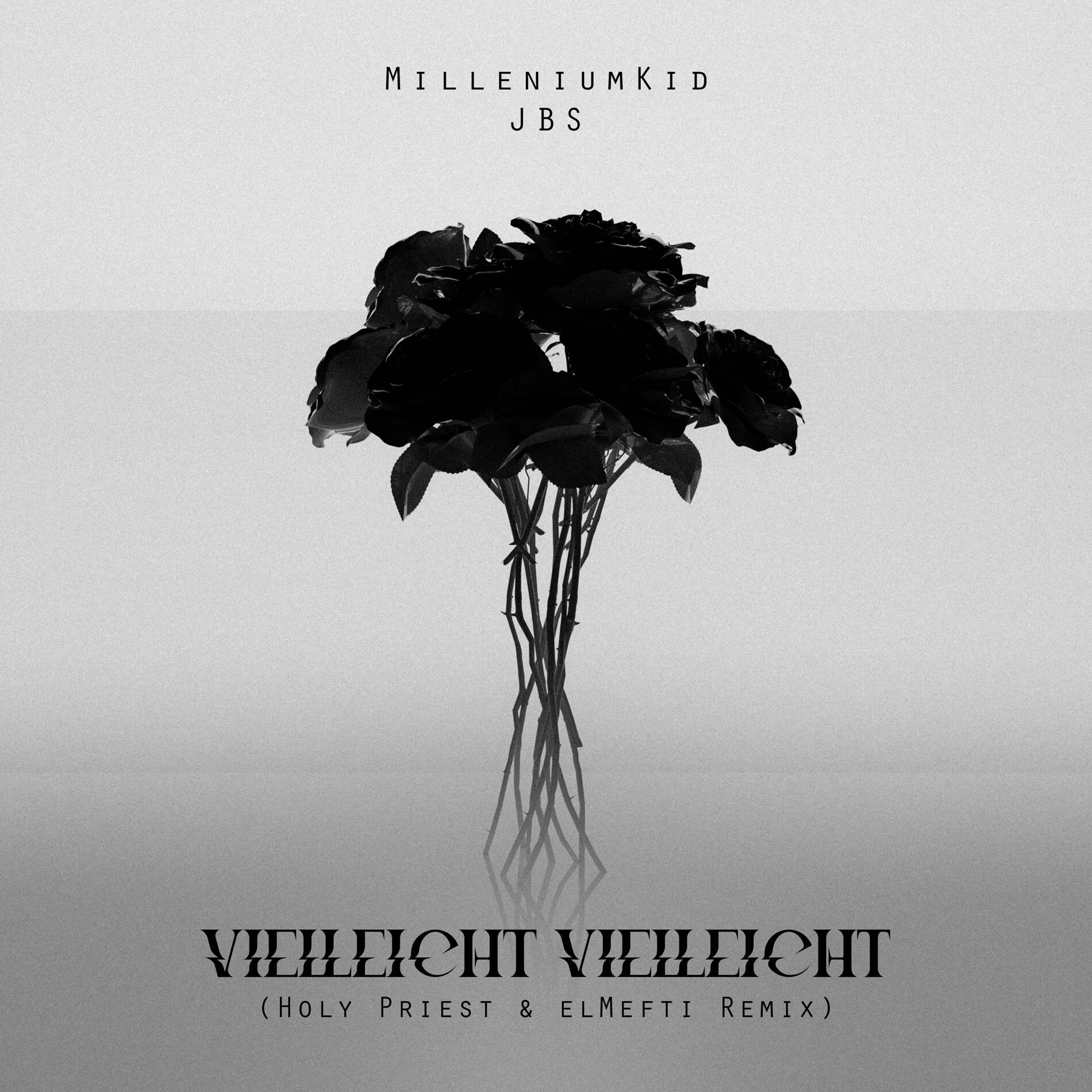 Album cover of Vielleicht Vielleicht