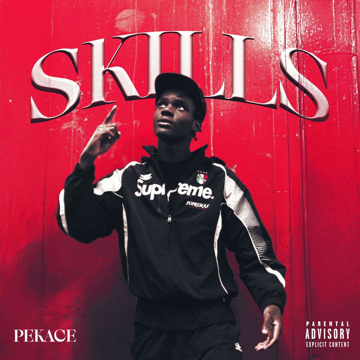 Album cover of SKILLS