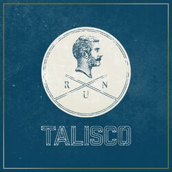 Cover of Run (Deluxe Version)