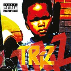 Cover of Triz