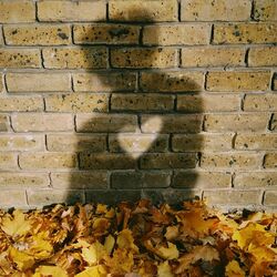 Cover of Autumn