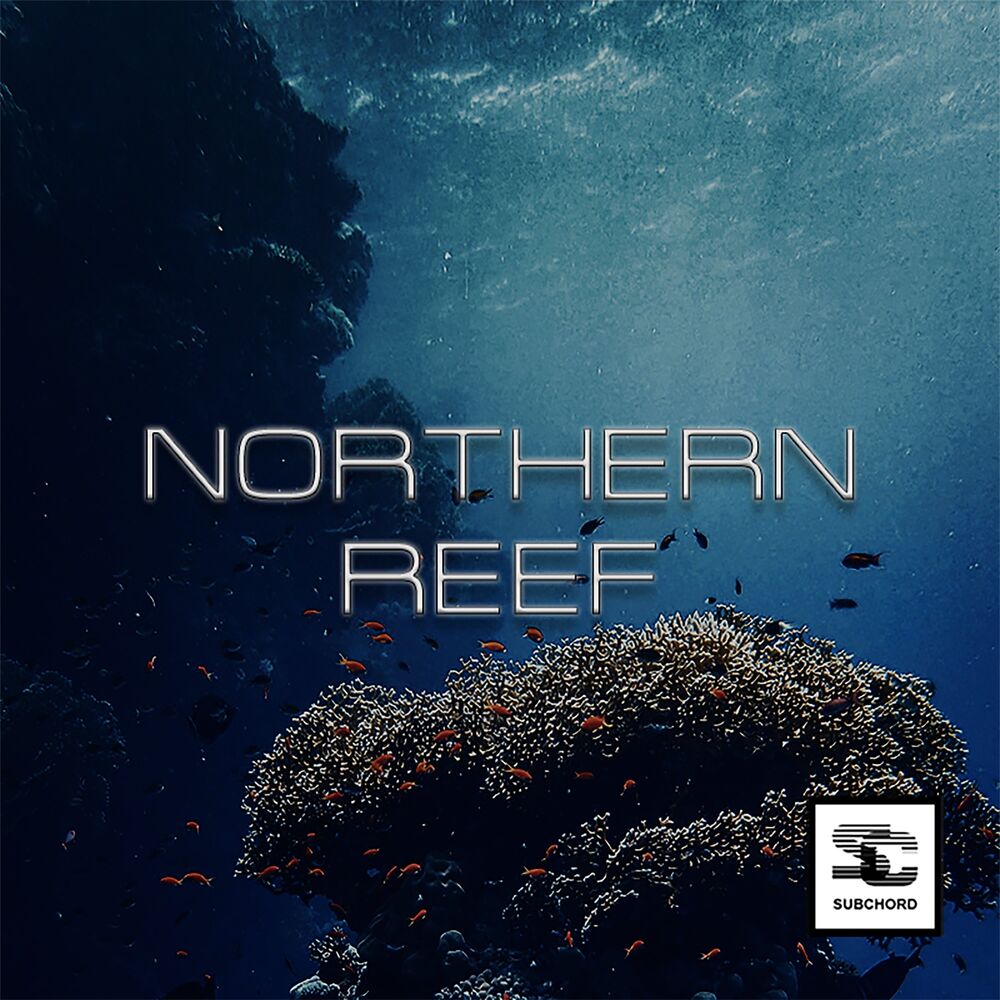 Picture of Northern Reef