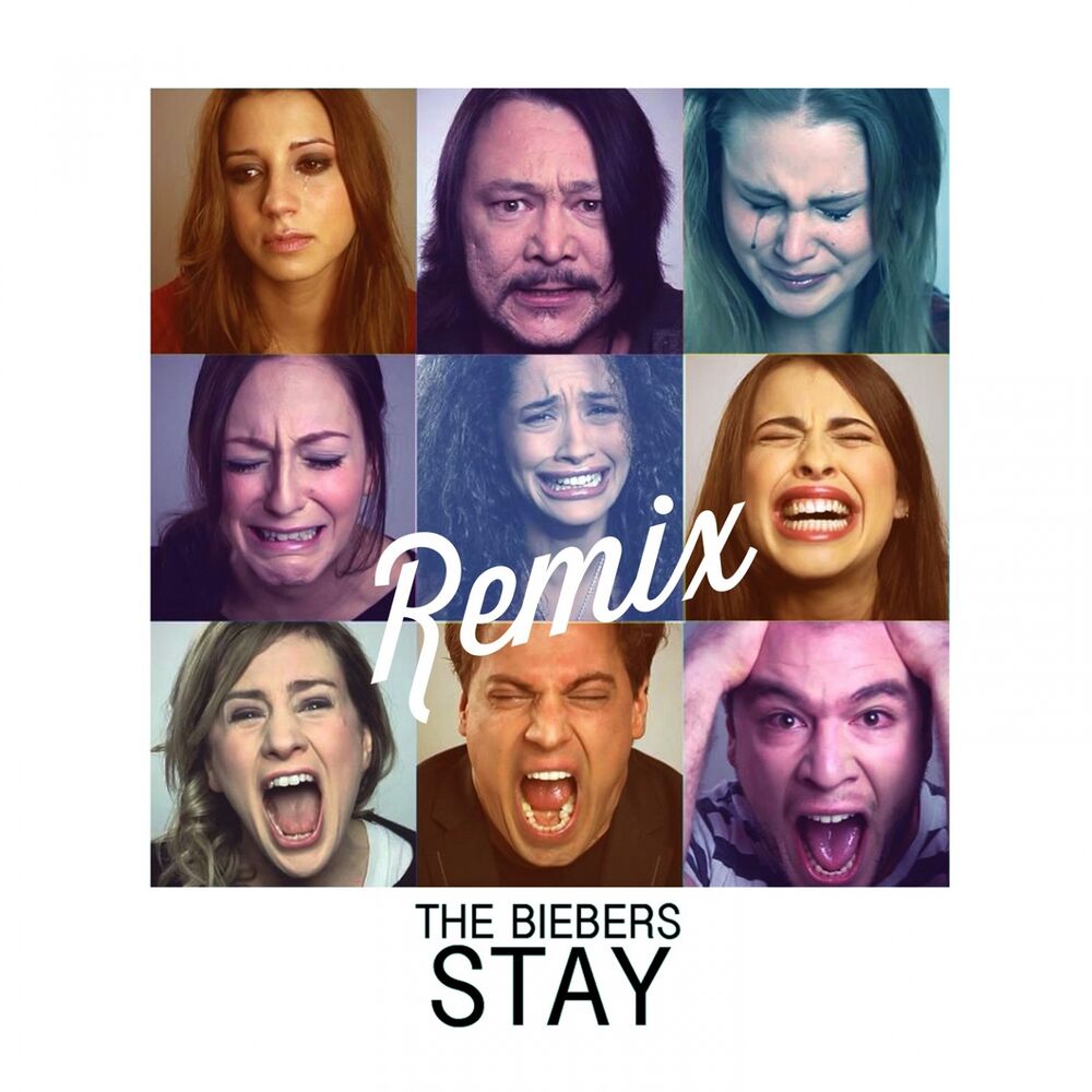 Picture of Stay (Remix)
