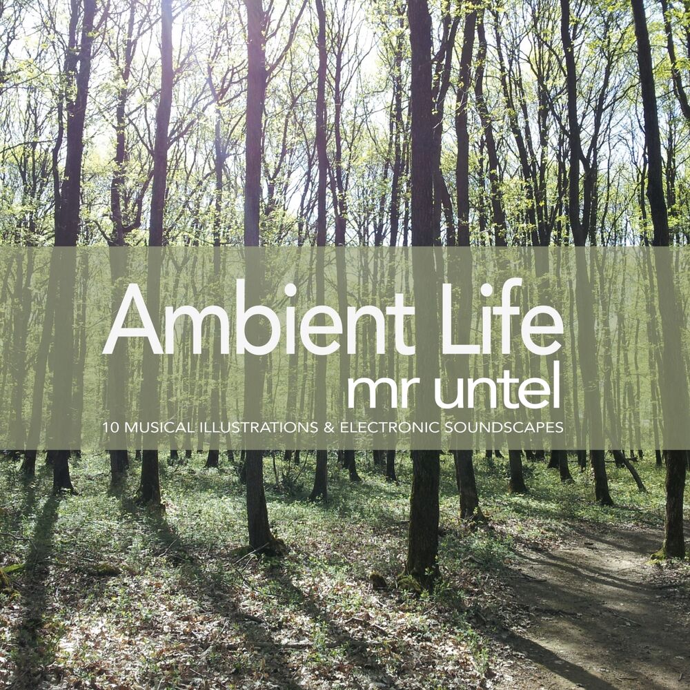 Picture of Ambient Life (10 Musical Illustrations & Electronic Soundscapes)