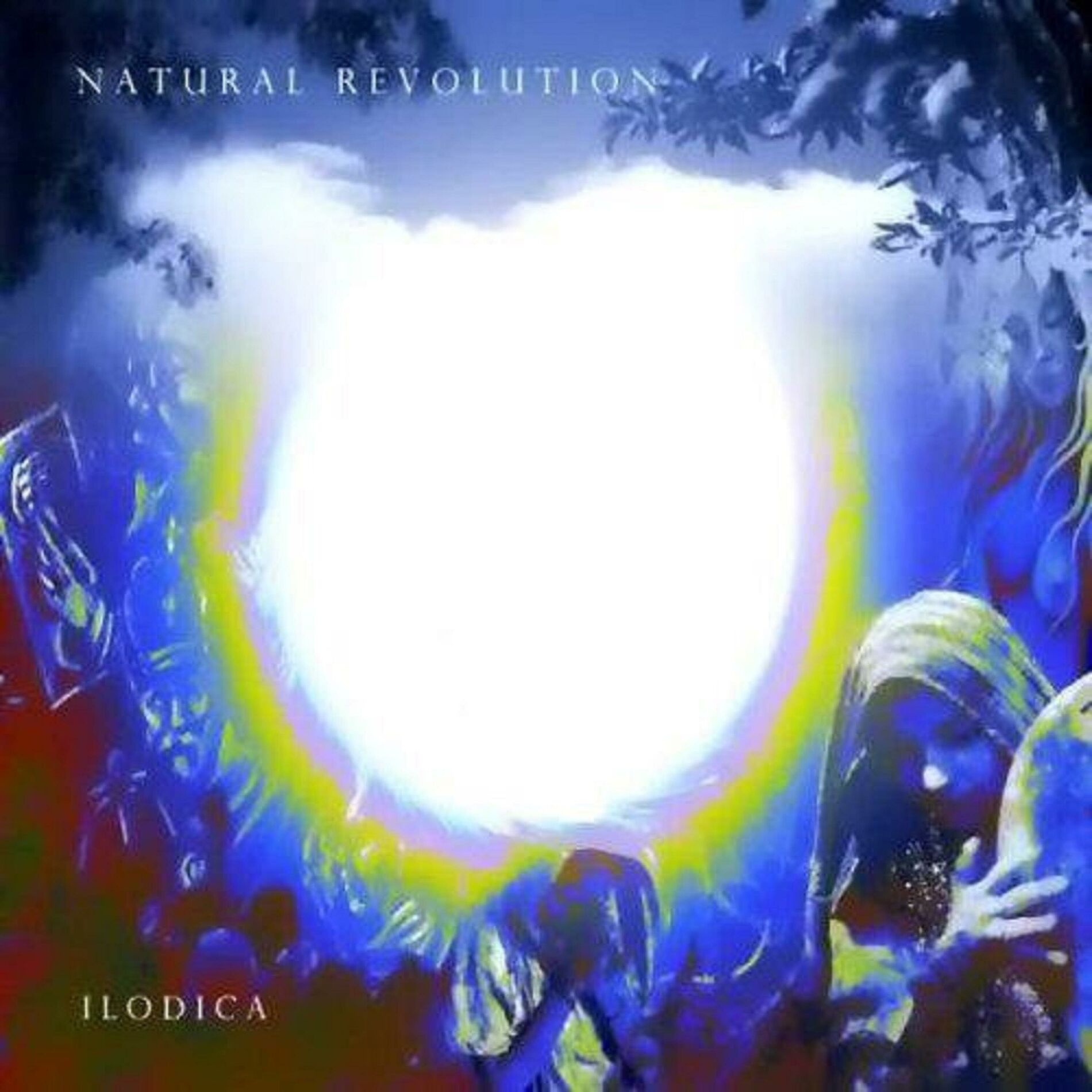 Album cover of Natural Revolution
