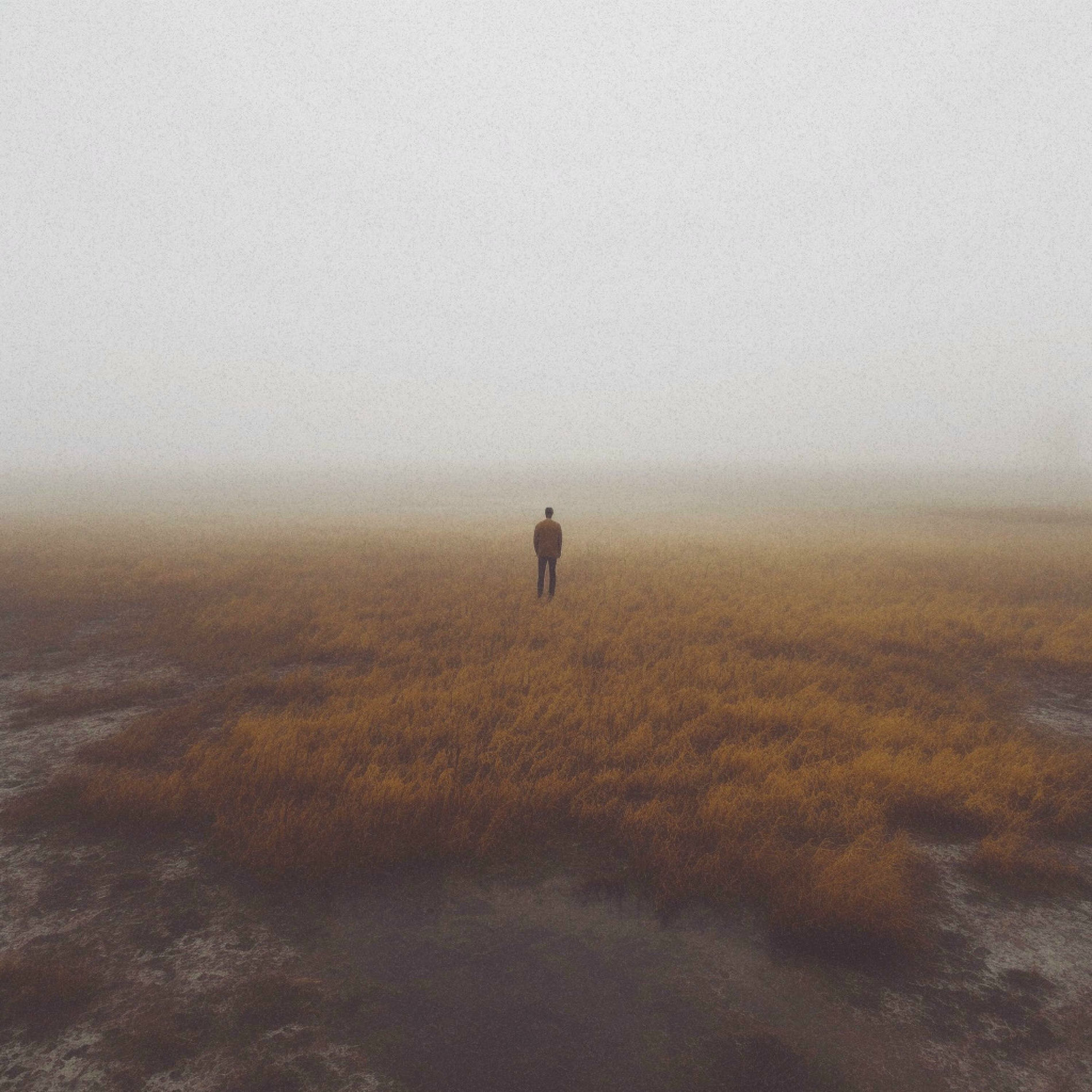 Album cover of Swear