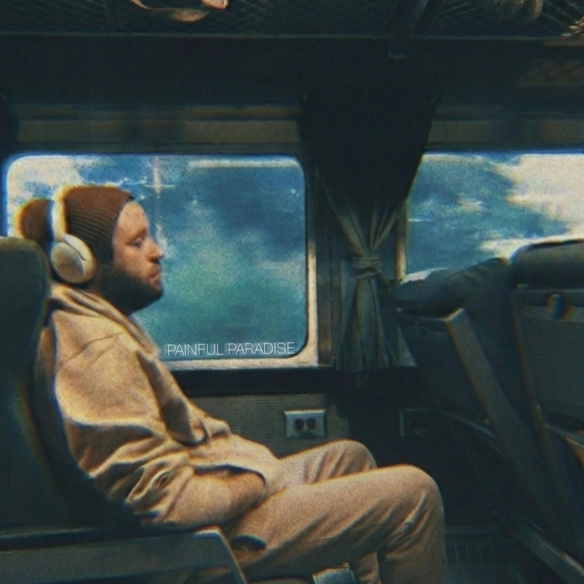 Album cover of Painful Paradise
