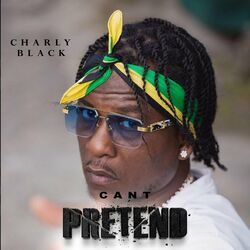 Cover of Cant Pretend