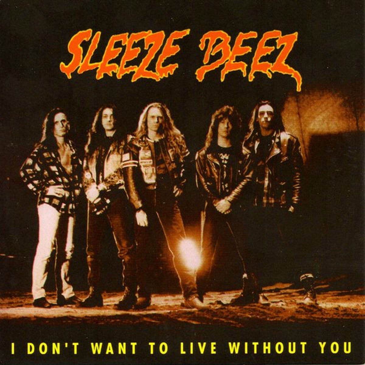 Album cover of I Don't Want To Live Without You (NL)