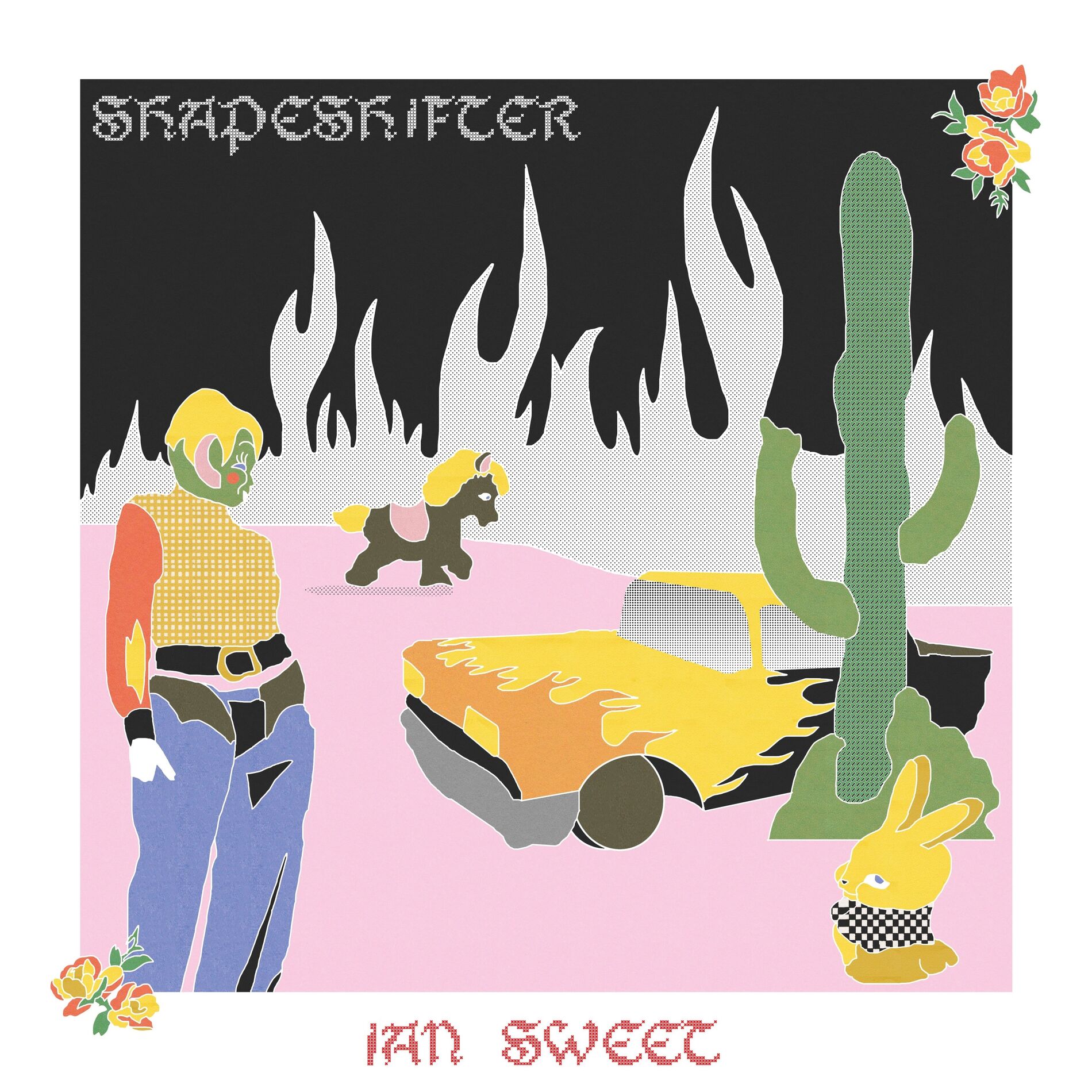 Album cover of Shapeshifter