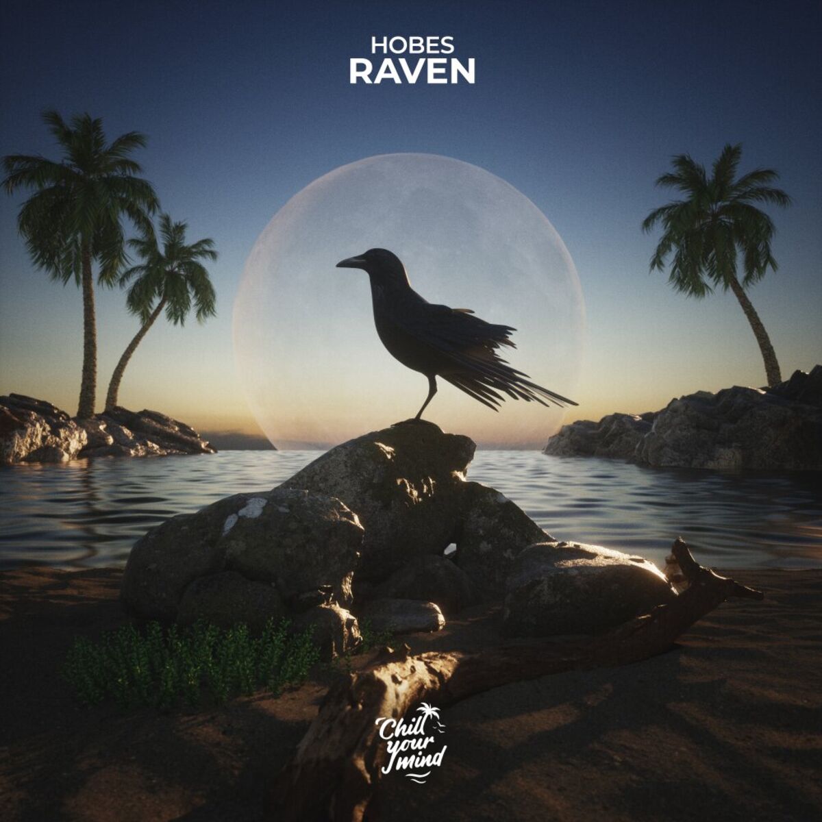 Album cover of Raven