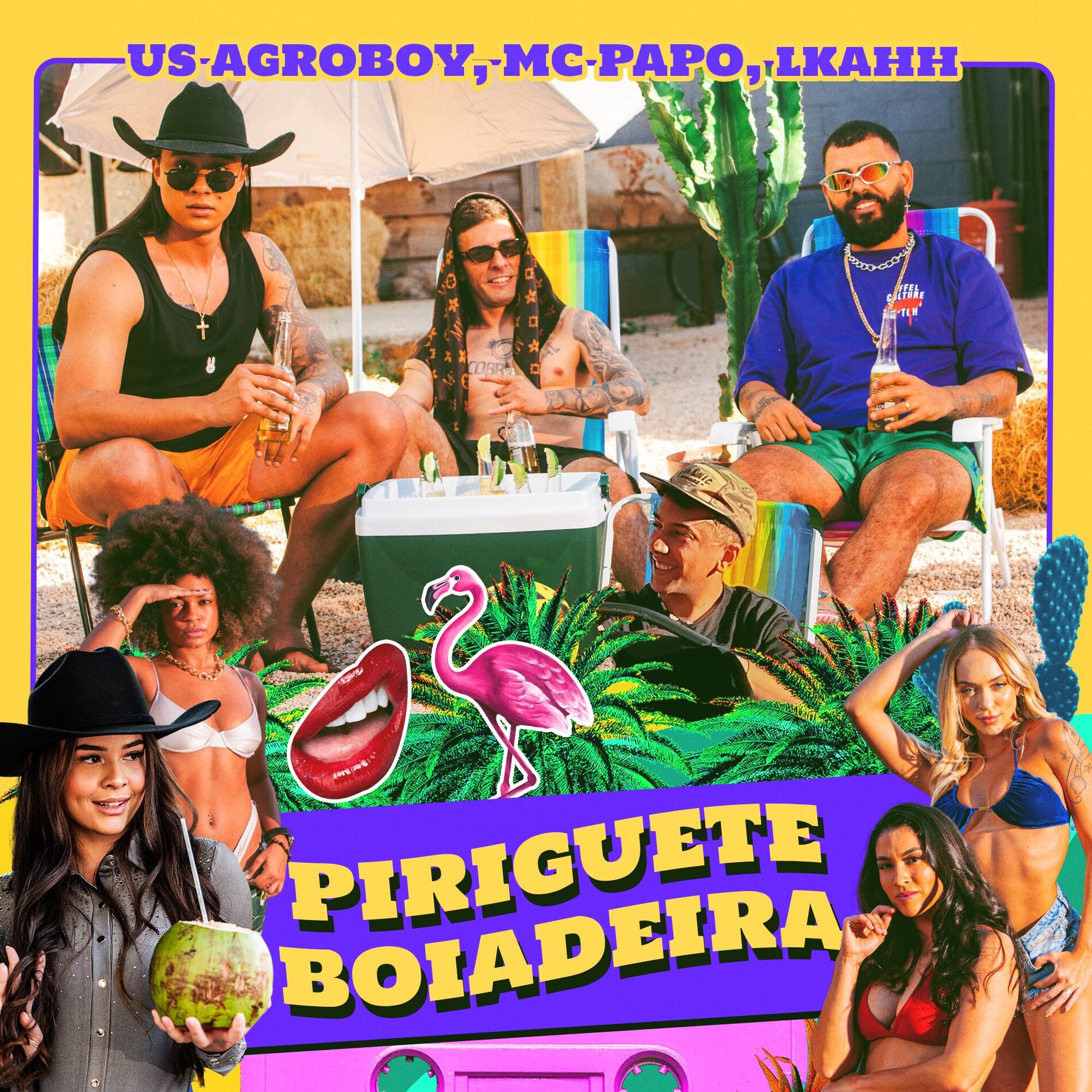 Album cover of Piriguete Boiadeira