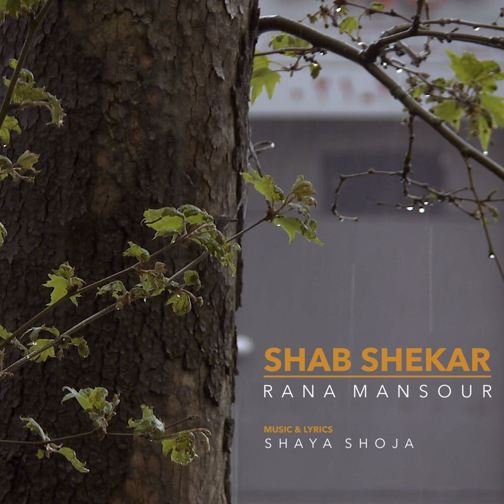 Picture of Shab Shekar (feat. Shaya Shoja)
