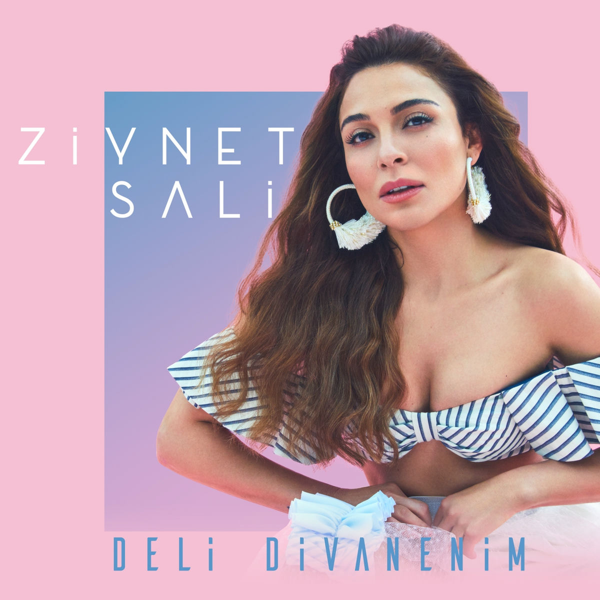 Album picture of Deli Divanenim