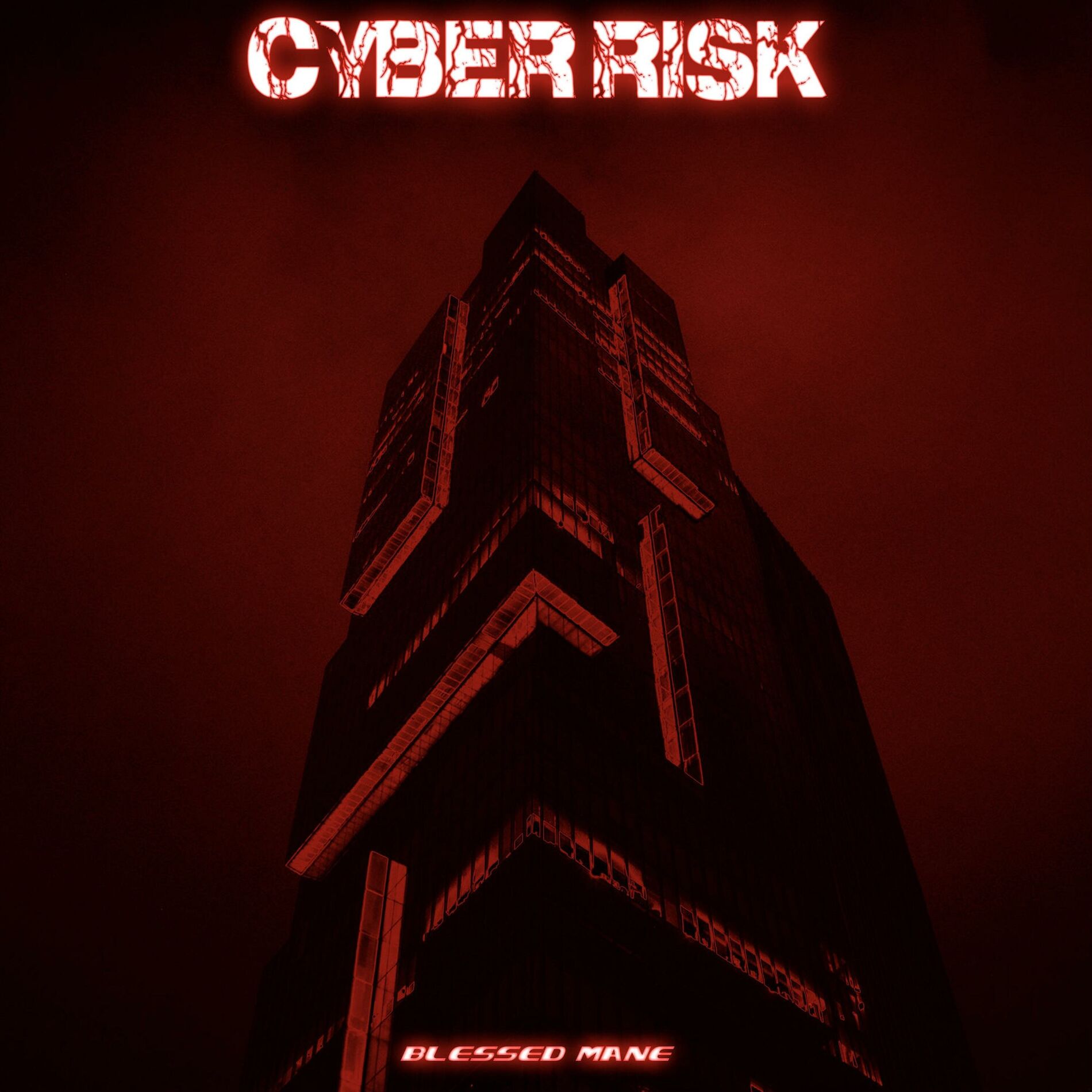 Album cover of Cyber Risk