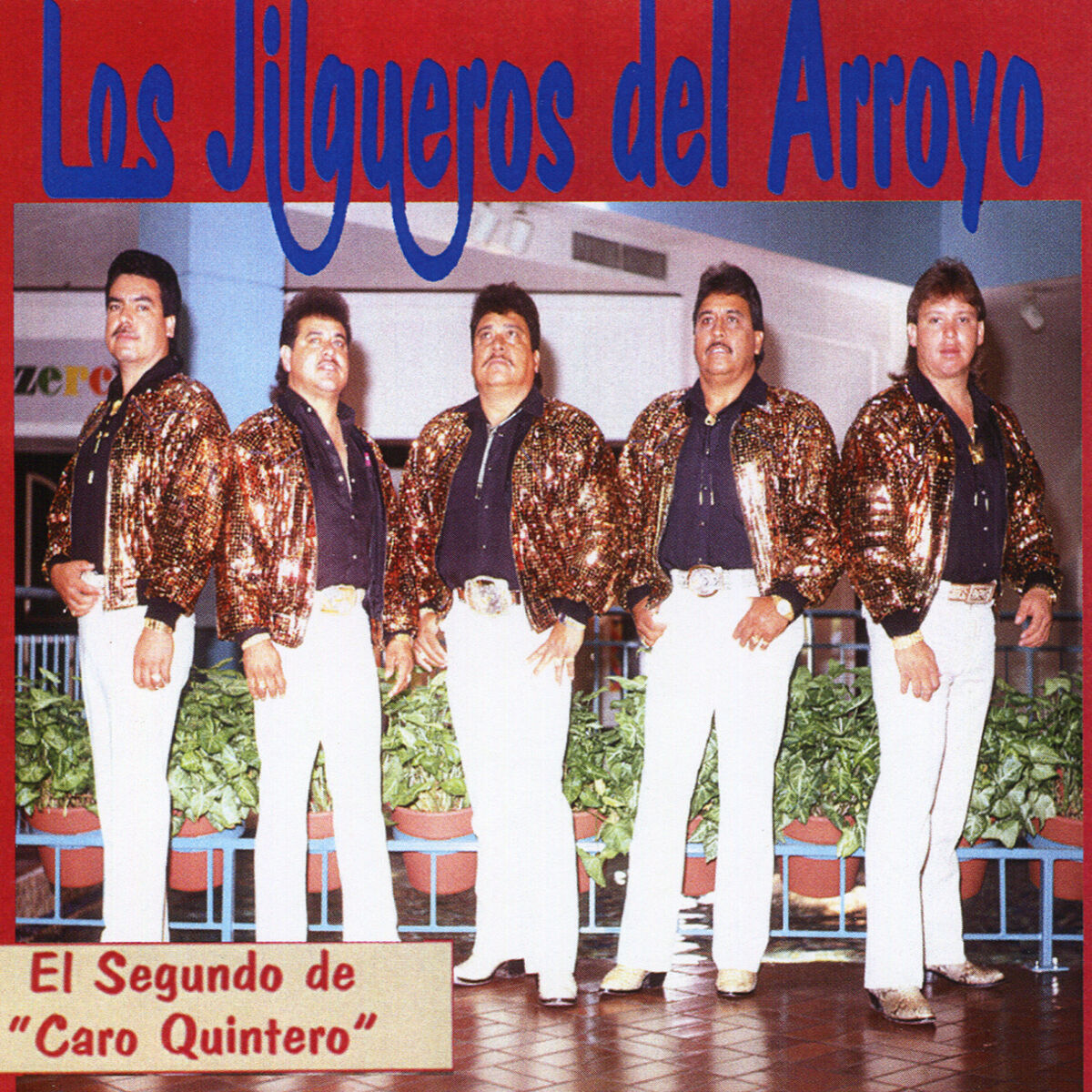 Album cover of Entre Copa y Copa
