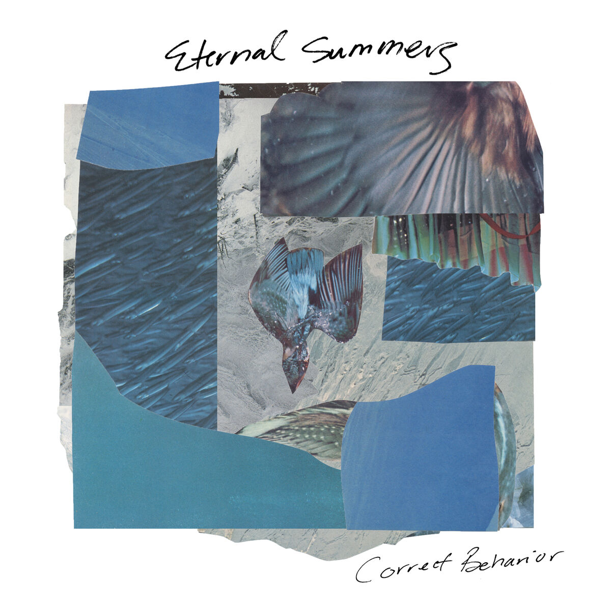 Album cover of Correct Behavior