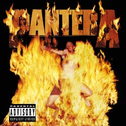Cover of Reinventing the Steel