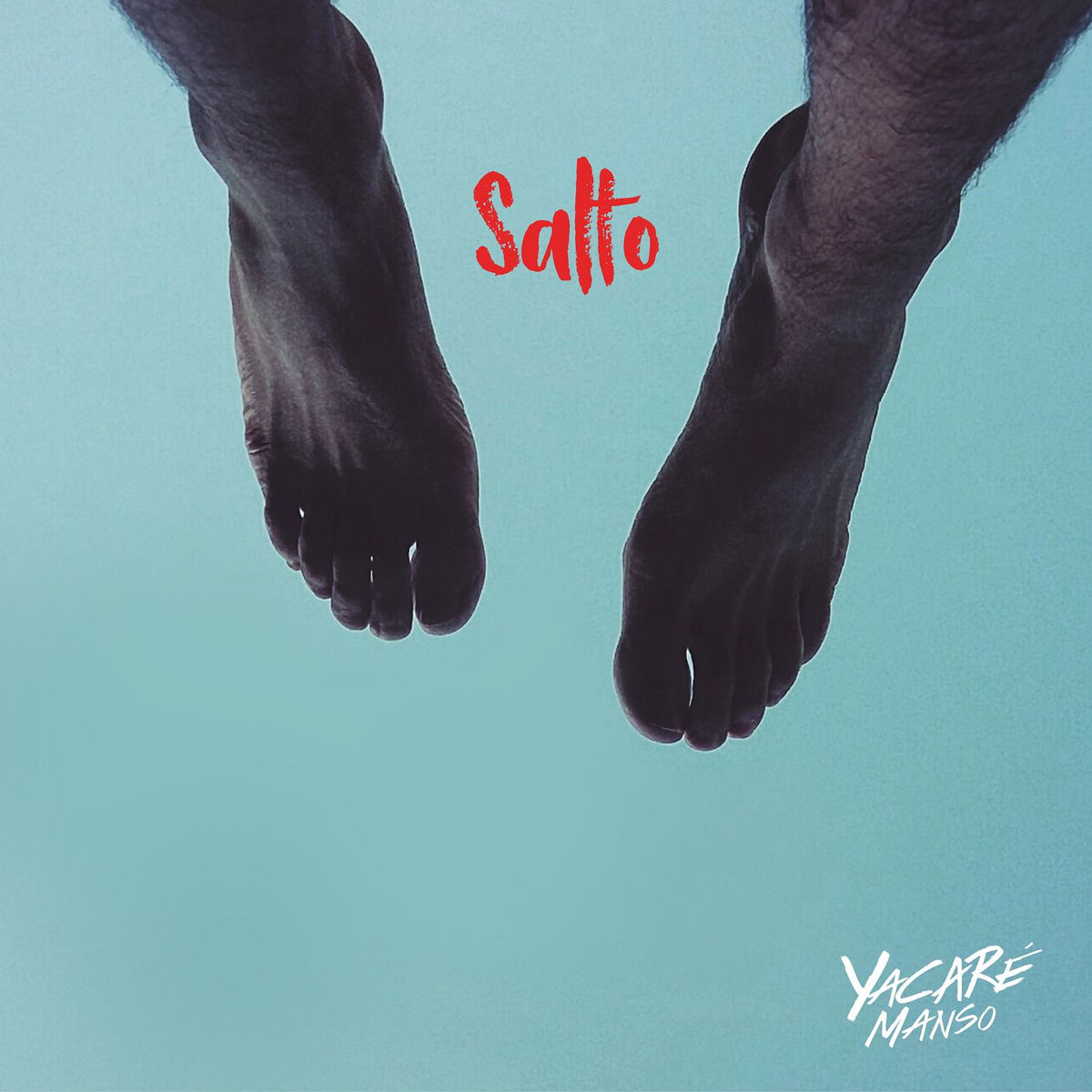 Album cover of Salto