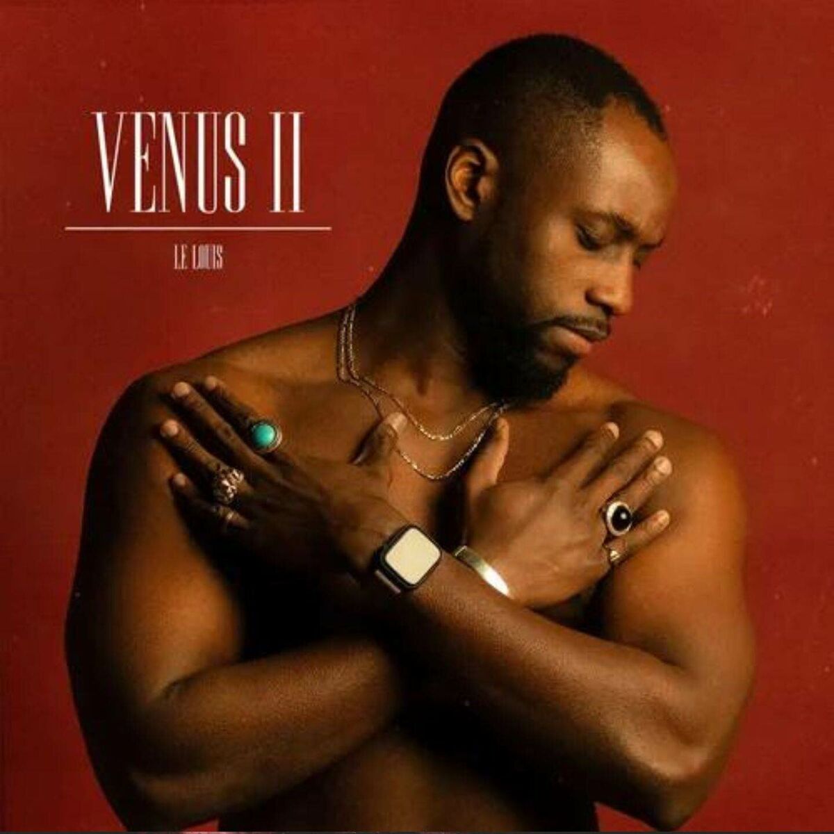 Album cover of VENUS II