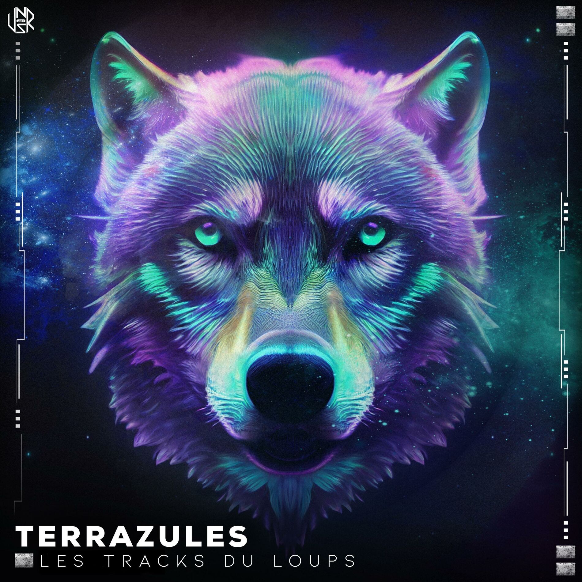 Album cover of Les tracks du loup