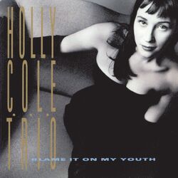 Cover of Blame It On My Youth