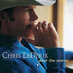 Cover of After The Storm