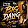Big Dawg