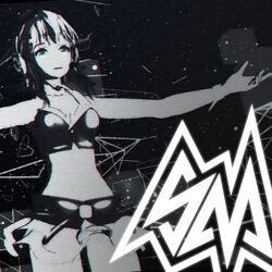 music cover