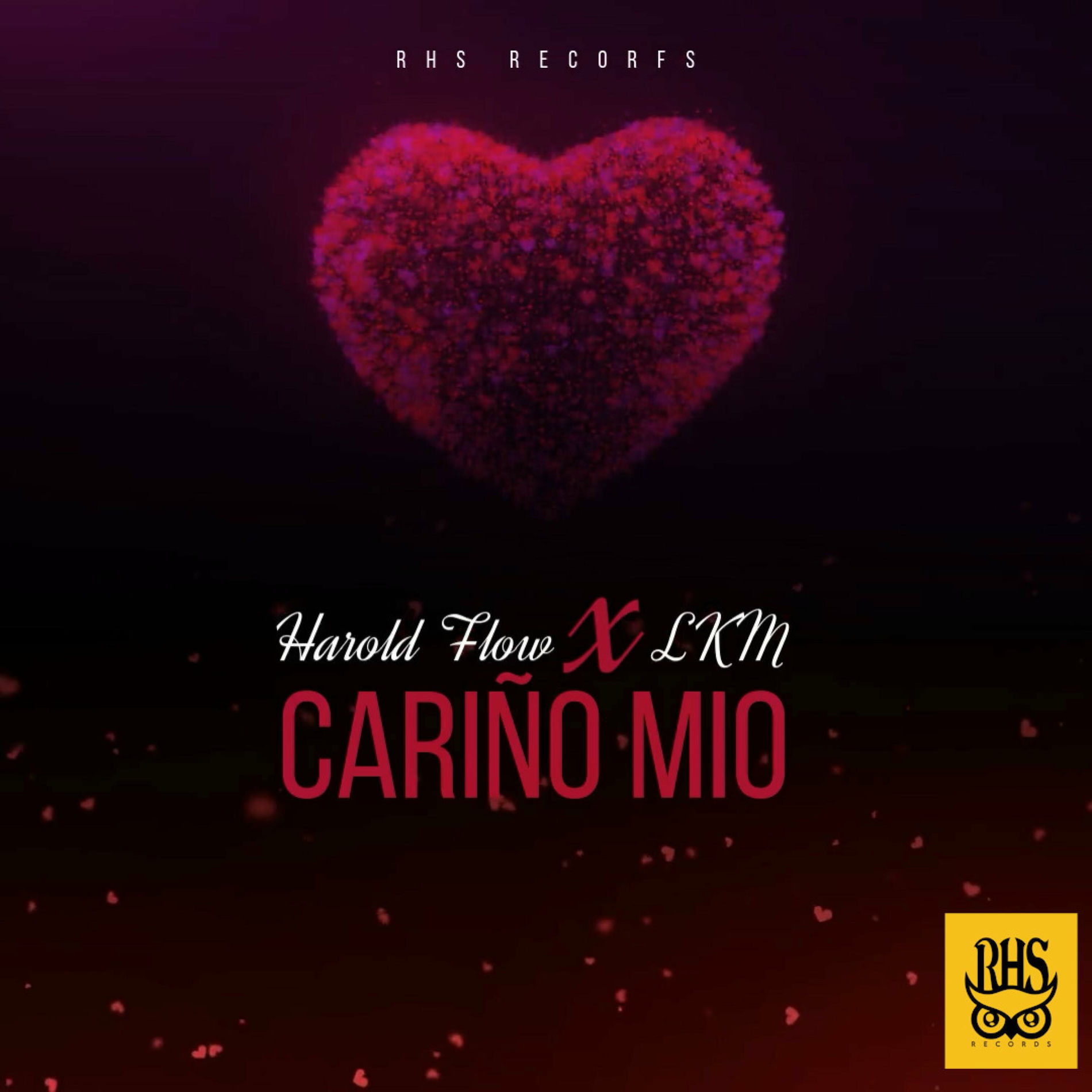 Album cover of Cariño Mío (feat. Harold Flow & LKM)