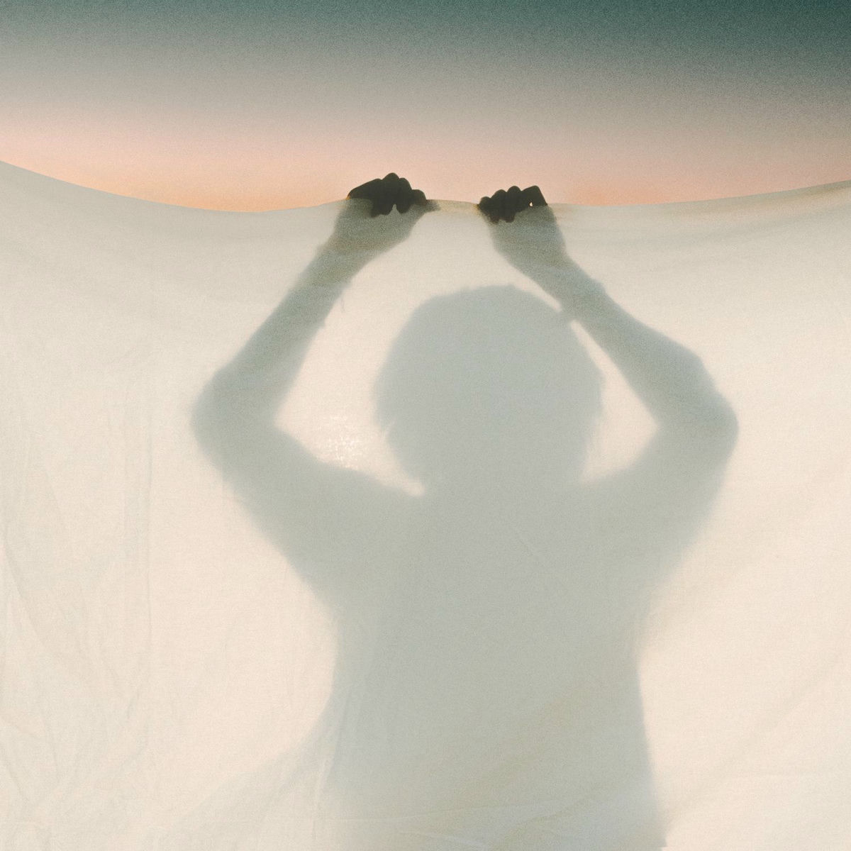 Album cover of immer noch