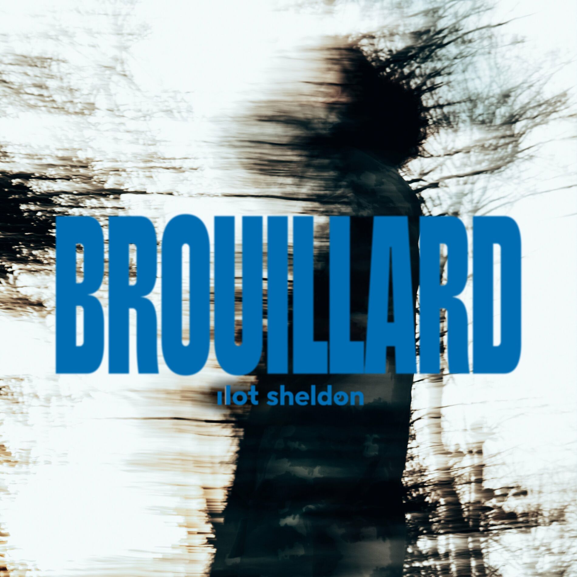 Album cover of Brouillard