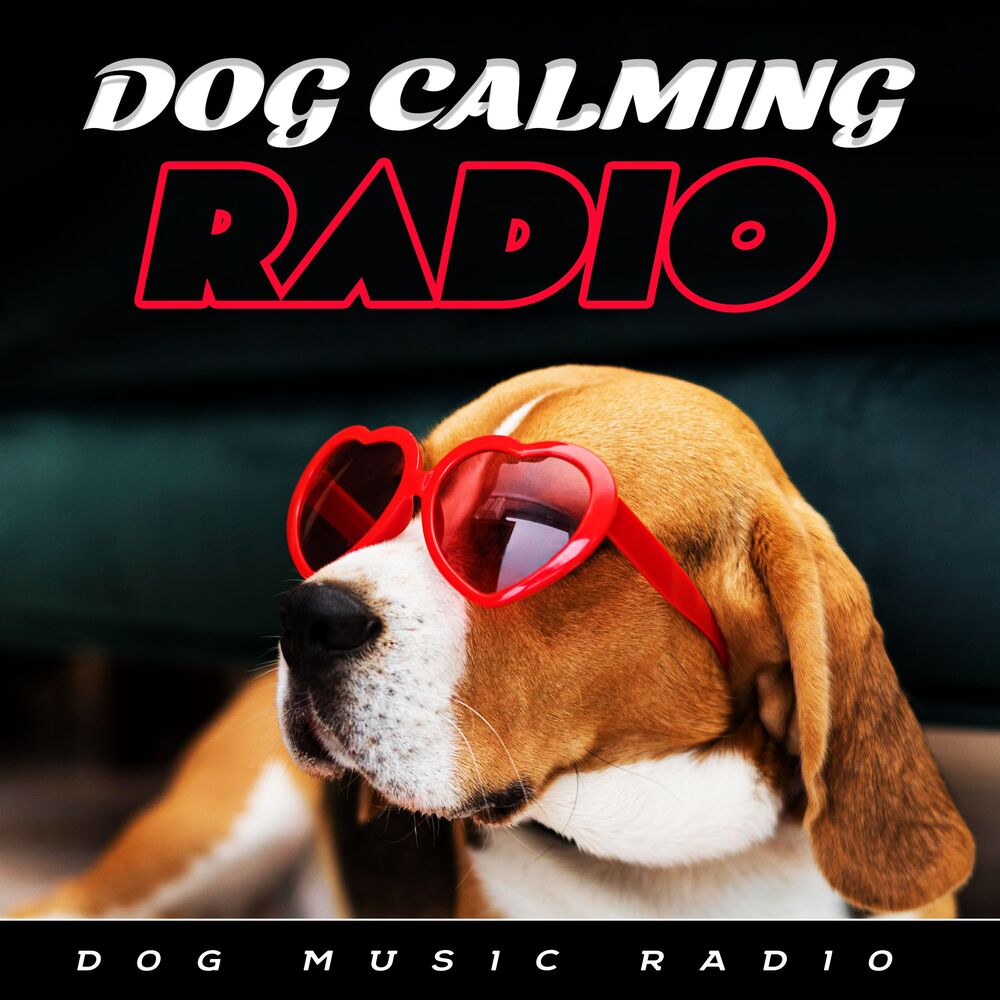 Picture of Dog Calming Radio
