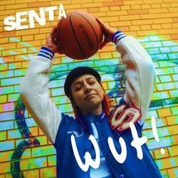 Cover of Wut