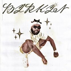 Cover of Birkin