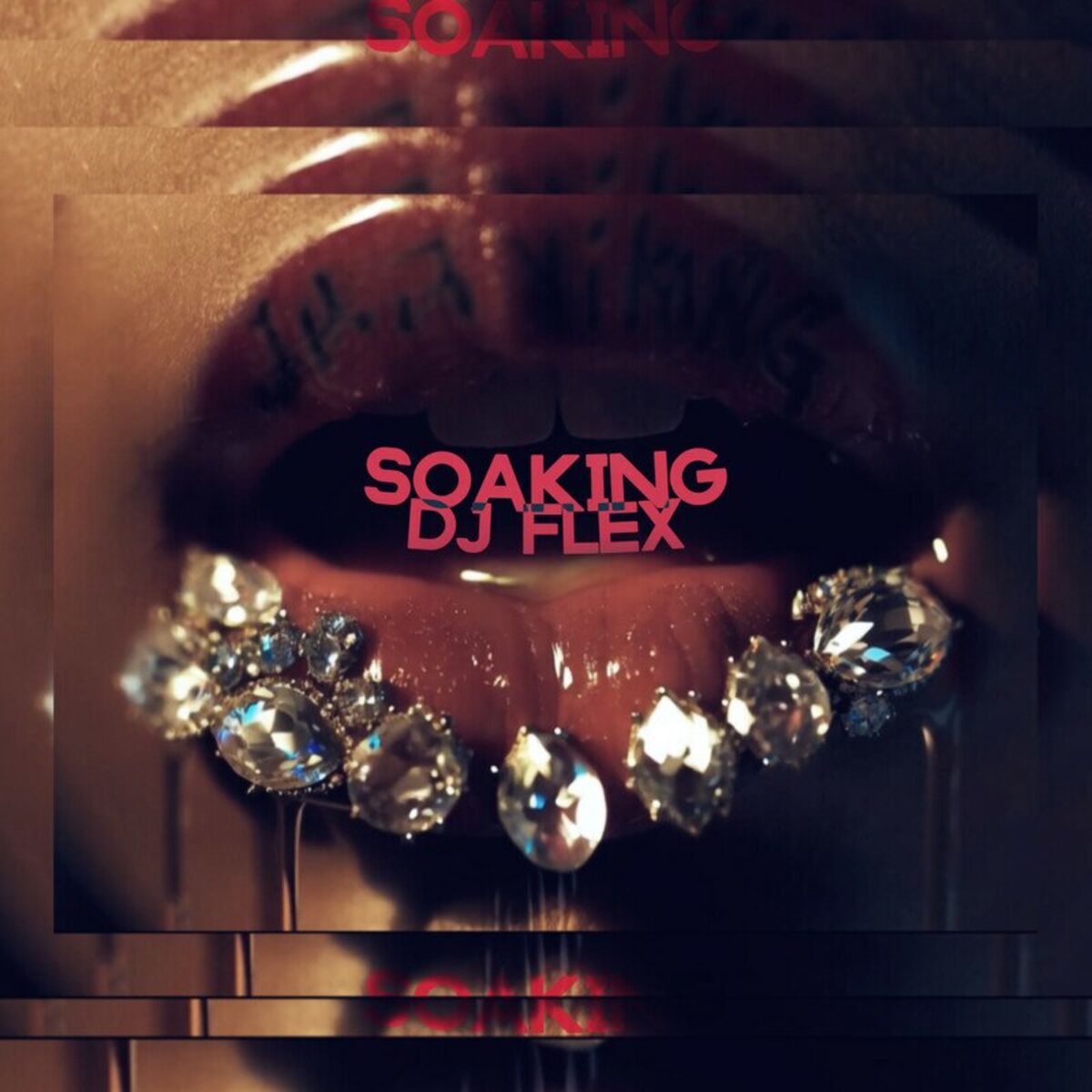 Album cover of Soaking