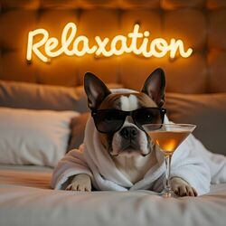Cover of Sound Therapy for Sleep and Anxiety: Effective Animal Relaxation Through a Pet's Ear, Music for House Pets