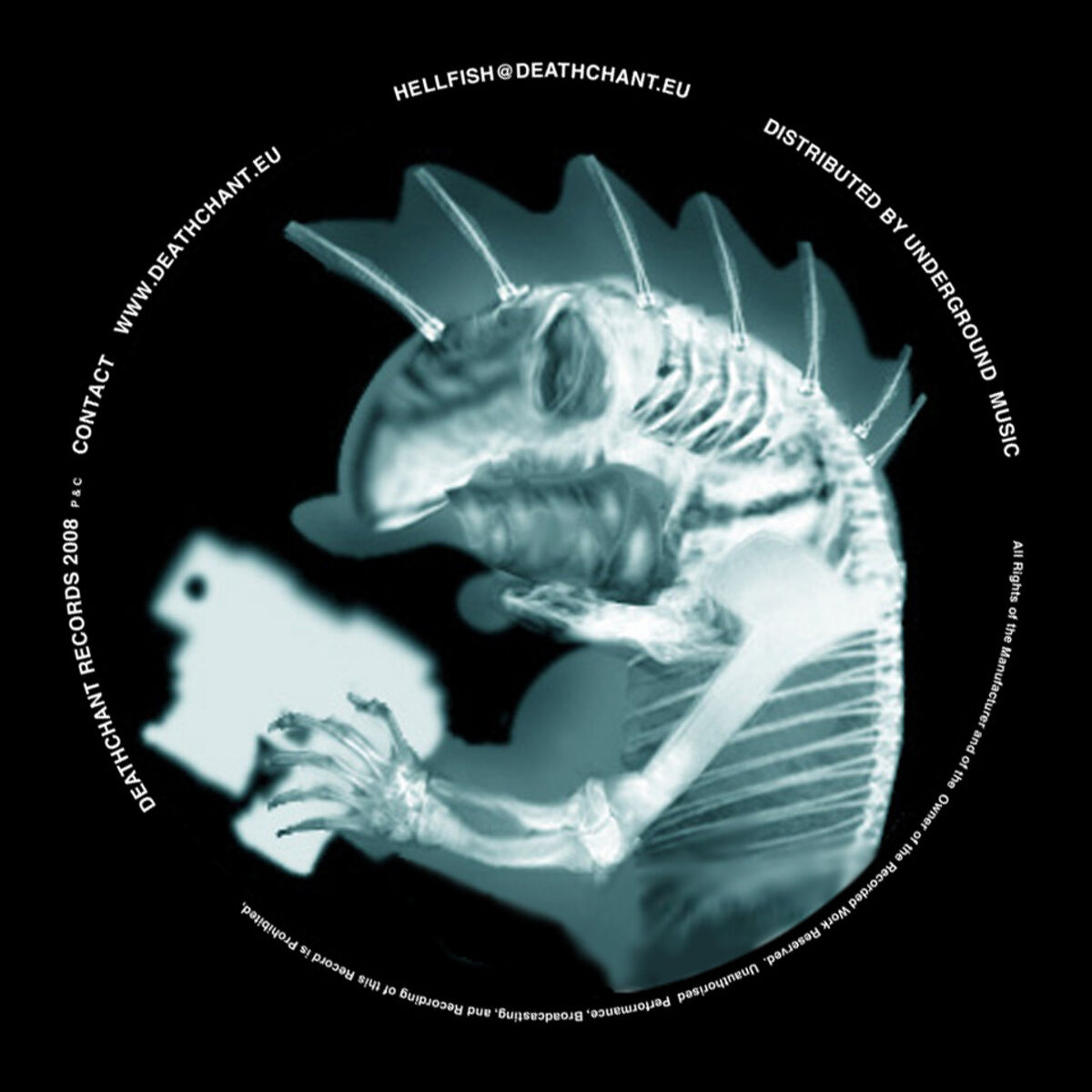 Album cover of Now That's What I Call Hellfish Vol. 2