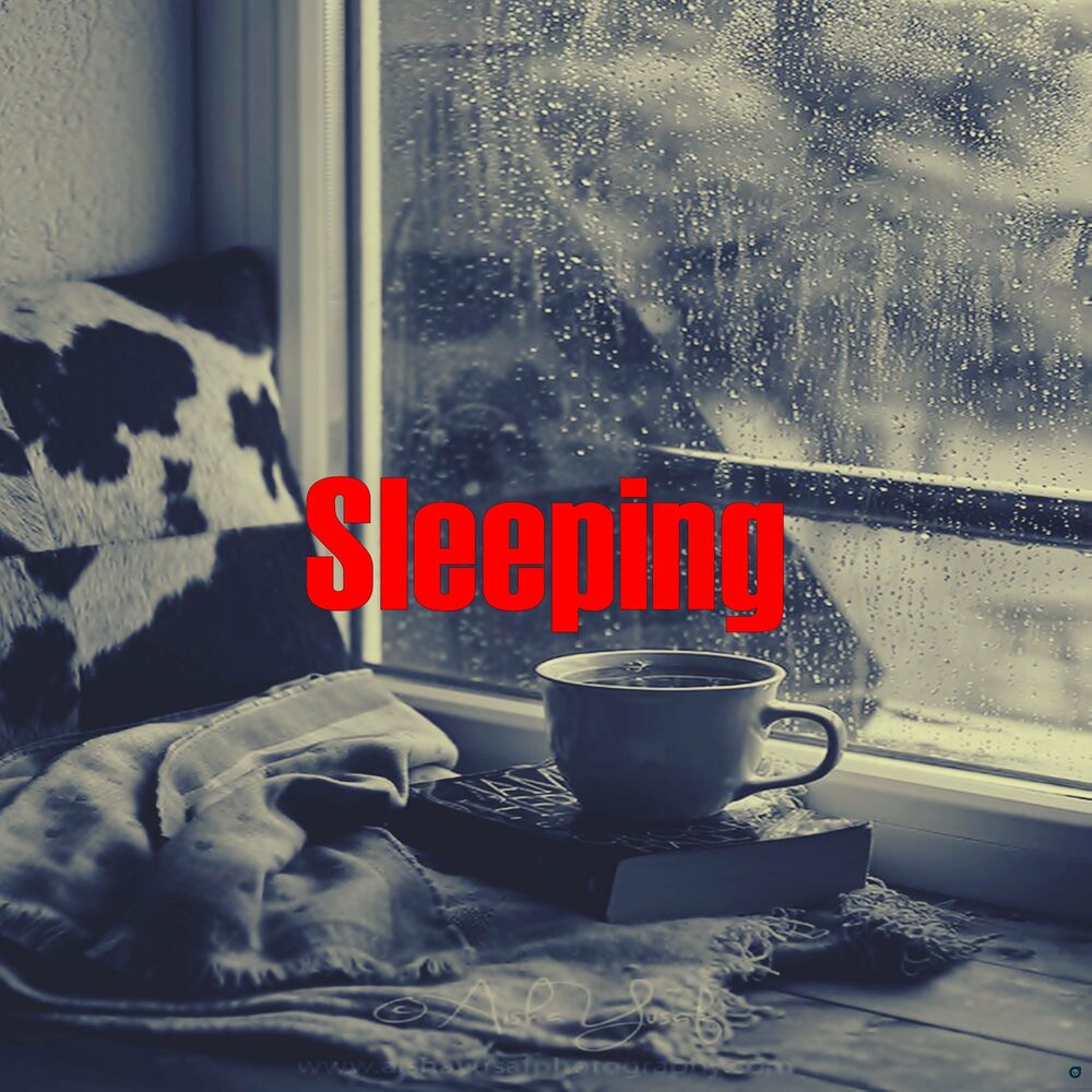 Picture of Sleeping (Instrumental)